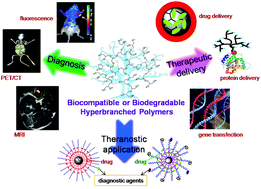 Graphical abstract: Synthesis and therapeutic applications of biocompatible or biodegradable hyperbranched polymers