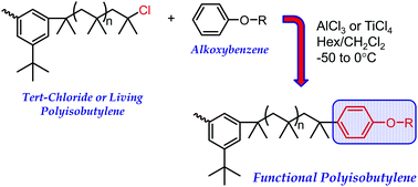 Graphical abstract: End-quenching of tert-chloride-terminated polyisobutylene with alkoxybenzenes: comparison of AlCl3 and TiCl4 catalysts