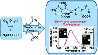 Graphical abstract: One-pot catalyst-free synthesis of down- and upconversion fluorescent oligopyrazolines from diazoacetates and maleic anhydride
