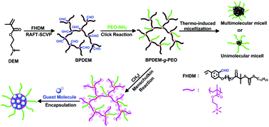 Graphical abstract: A facile synthesis of branched graft copolymers via combination of RAFT self-condensing vinyl polymerization and aldehyde–aminooxy reaction