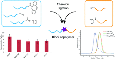 Graphical abstract: Evaluating chemical ligation techniques for the synthesis of block copolypeptides, polypeptoids and block copolypept(o)ides: a comparative study