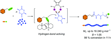 Graphical abstract: A squaramide and tertiary amine: an excellent hydrogen-bonding pair organocatalyst for living polymerization