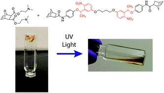 Graphical abstract: Photolabile ROMP gels using ortho-nitrobenzyl functionalized crosslinkers