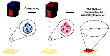 Graphical abstract: Molecular design of a discrete chain-folding polyimide for controlled inkjet deposition of supramolecular polymers