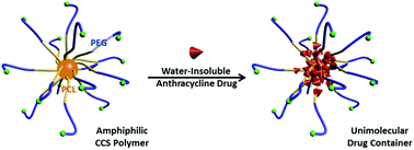 Graphical abstract: Amphiphilic core cross-linked star polymers as water-soluble, biocompatible and biodegradable unimolecular carriers for hydrophobic drugs