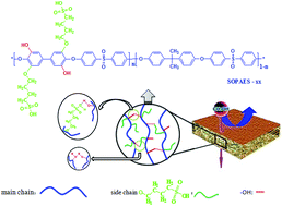 Graphical abstract: Novel side-chain-type sulfonated diphenyl-based poly(arylene ether sulfone)s with a hydrogen-bonded network as proton exchange membranes