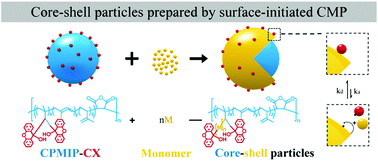 Graphical abstract: Preparation of core–shell particles by surface-initiated cycloketyl radical mediated living polymerization