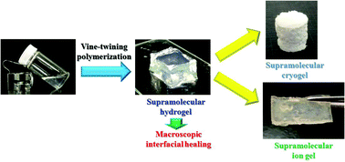 Graphical abstract: Preparation of multiformable supramolecular gels through helical complexation by amylose in vine-twining polymerization