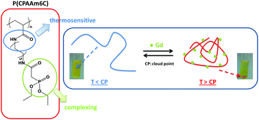 Graphical abstract: The first report on phosphonate-based homopolymers combining both chelating and thermosensitive properties of gadolinium: synthesis and evaluation