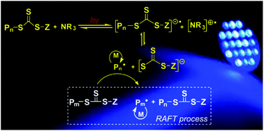 Graphical abstract: Tertiary amine catalyzed photo-induced controlled radical polymerization of methacrylates