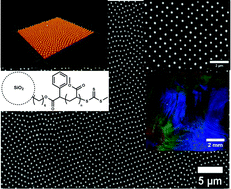 Graphical abstract: Well-defined colloidal crystal films from the 2D self-assembly of core–shell semi-soft nanoparticles