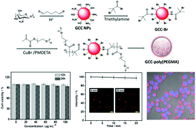 Graphical abstract: Preparation of biocompatible and photostable PEGylated red fluorescent nanoparticles for cellular imaging