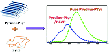 Graphical abstract: Strong emission of 2,4,6-triphenylpyridine-functionalized polytyrosine and hydrogen-bonding interactions with poly(4-vinylpyridine)