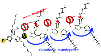 Graphical abstract: Linear-selective cross-coupling polymerization of branched oligothiophene by deprotonative metalation and cross-coupling