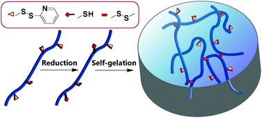 Graphical abstract: Reductant-triggered rapid self-gelation and biological functionalization of hydrogels