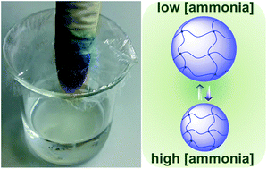 Graphical abstract: Synthesis and characterization of ammonia-responsive polymer microgels