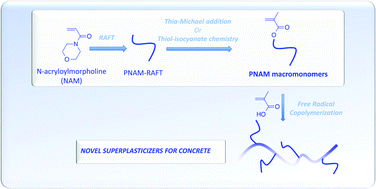 Graphical abstract: Synthesis of poly(N-acryloylmorpholine) macromonomers using RAFT and their copolymerization with methacrylic acid for the design of graft copolymer additives for concrete