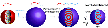 Graphical abstract: How does dense phase CO2 influence the phase behaviour of block copolymers synthesised by dispersion polymerisation?