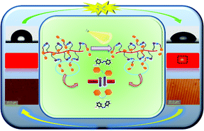 Graphical abstract: Stimuli-responsive supramolecular materials: photo-tunable properties and molecular recognition behavior