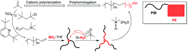 Graphical abstract: Living cationic polymerization and polyhomologation: an ideal combination to synthesize functionalized polyethylene–polyisobutylene block copolymers