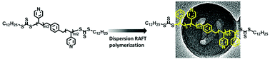 Graphical abstract: One-pot preparation of BAB triblock copolymer nano-objects through bifunctional macromolecular RAFT agent mediated dispersion polymerization