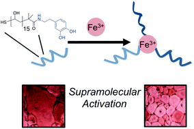 Graphical abstract: Activation of ice recrystallization inhibition activity of poly(vinyl alcohol) using a supramolecular trigger