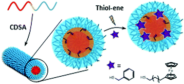 Graphical abstract: Core functionalization of semi-crystalline polymeric cylindrical nanoparticles using photo-initiated thiol–ene radical reactions