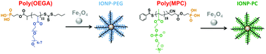 Graphical abstract: Synthesis and in vitro properties of iron oxide nanoparticles grafted with brushed phosphorylcholine and polyethylene glycol