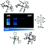 Graphical abstract: Enhancing the photoluminescence quantum yields of blue-emitting cationic iridium(iii) complexes bearing bisphosphine ligands