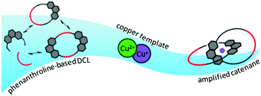 Graphical abstract: Discoveries from a phenanthroline-based dynamic combinatorial library: catenane from a copper(i) or copper(ii) template?