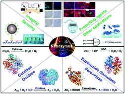 Graphical abstract: Nanozymes in bionanotechnology: from sensing to therapeutics and beyond