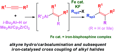 Graphical abstract: Regio- and stereoselective multisubstituted olefin synthesis via hydro/carboalumination of alkynes and subsequent iron-catalysed cross-coupling reaction with alkyl halides