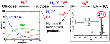 Graphical abstract: Speciation and kinetic study of iron promoted sugar conversion to 5-hydroxymethylfurfural (HMF) and levulinic acid (LA)