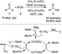 Graphical abstract: Cobalt(ii)-catalyzed oxidative esterification of aldehydes: a cooperative effect between cobalt and iodide ions