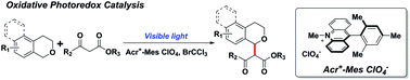 Graphical abstract: Reactivity and mechanistic insight into the cross coupling reaction between isochromans and β-keto esters through C–H bond activation under visible light irradiation