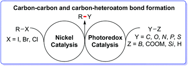 Graphical abstract: Photoredox sheds new light on nickel catalysis: from carbon–carbon to carbon–heteroatom bond formation