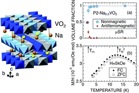 Graphical abstract: Unveiled magnetic transition in Na battery material: μ+SR study of P2-Na0.5VO2