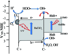 Graphical abstract: Photodegradation of Rhodamine B over Ag modified ferroelectric BaTiO3 under simulated solar light: pathways and mechanism