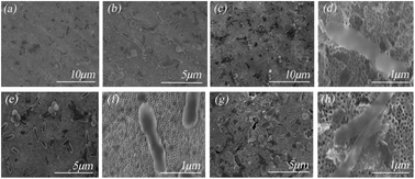 Graphical abstract: Antibacterial activities of TiO2 nanotubes on Porphyromonas gingivalis
