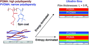 Graphical abstract: Microphase separation in thin films of lamellar forming polydisperse di-block copolymers