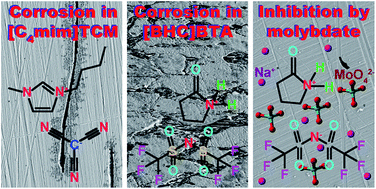 Graphical abstract: Microscopic study of the corrosion behaviour of mild steel in ionic liquids for CO2 capture applications