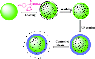 Graphical abstract: Microorganism-based monodisperse microcapsules: encapsulation of the fungicide tebuconazole and its controlled release properties