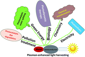 Graphical abstract: Plasmon-enhanced light harvesting: applications in enhanced photocatalysis, photodynamic therapy and photovoltaics