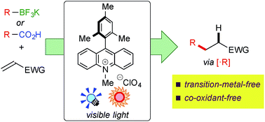 Graphical abstract: Redox-economical radical generation from organoborates and carboxylic acids by organic photoredox catalysis