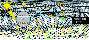 Graphical abstract: Green synthesis, photocatalytic and photoelectrochemical performance of an Au–Graphene nanocomposite