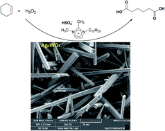 Graphical abstract: One pot oxidative cleavage of cyclohexene to adipic acid using silver tungstate nano-rods in a Brønsted acidic ionic liquid
