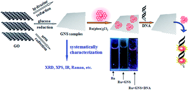 Graphical abstract: Reduction degree and property study of graphene nanosheets prepared with different reducing agents and their applicability as a carrier of the Ru(phen)3Cl2 luminescent sensor for DNA detection