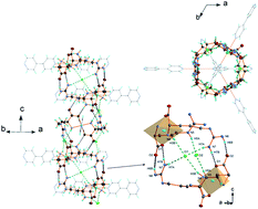 Graphical abstract: Metal–organic framework in an l-arginine copper(ii) ion polymer: structure, properties, theoretical studies and microbiological activity