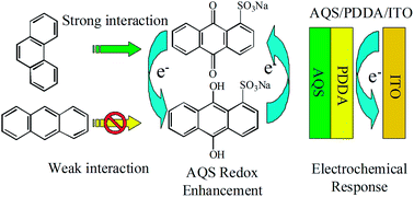 Graphical abstract: Electrochemical determination of phenanthrene based on anthraquinone sulfonate and poly diallyldimethylammonium chloride modified indium–tin oxide electrode