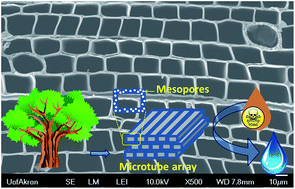 Graphical abstract: Carbon monolith with embedded mesopores and nanoparticles as a novel adsorbent for water treatment